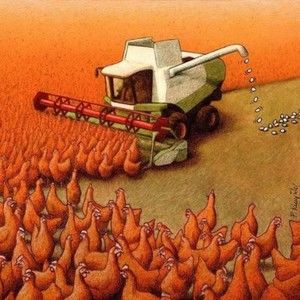 Meet your Posher, Carla